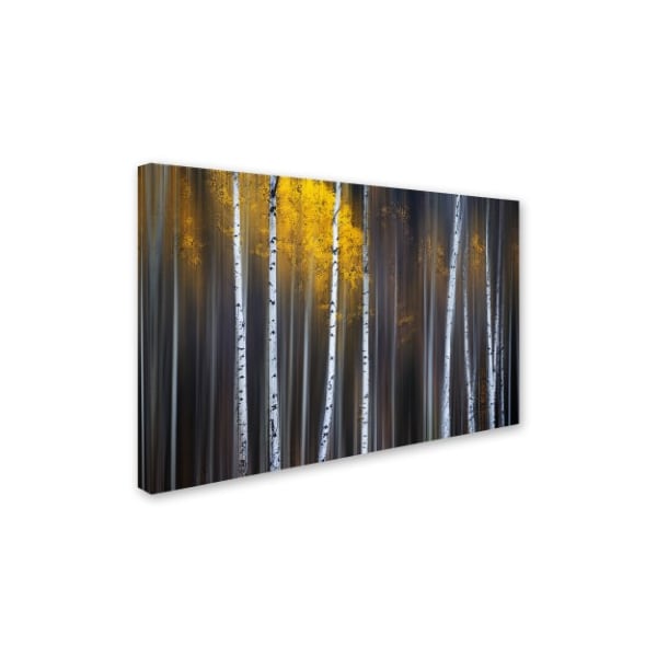 Andy Hu 'Curtain Of Fall' Canvas Art,16x24